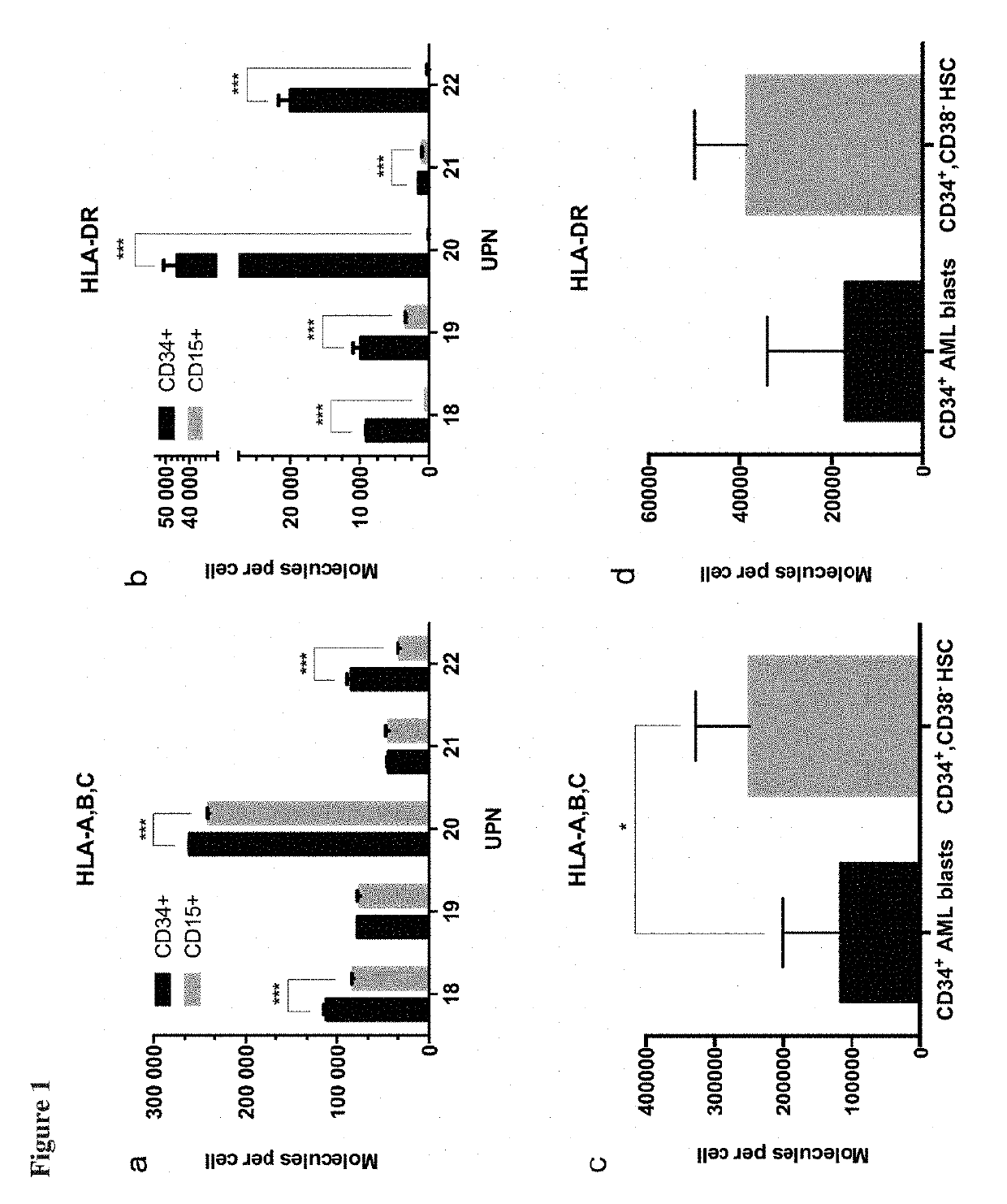 Novel immunotherapy against several tumors of the blood, such as acute myeloid leukemia (AML)