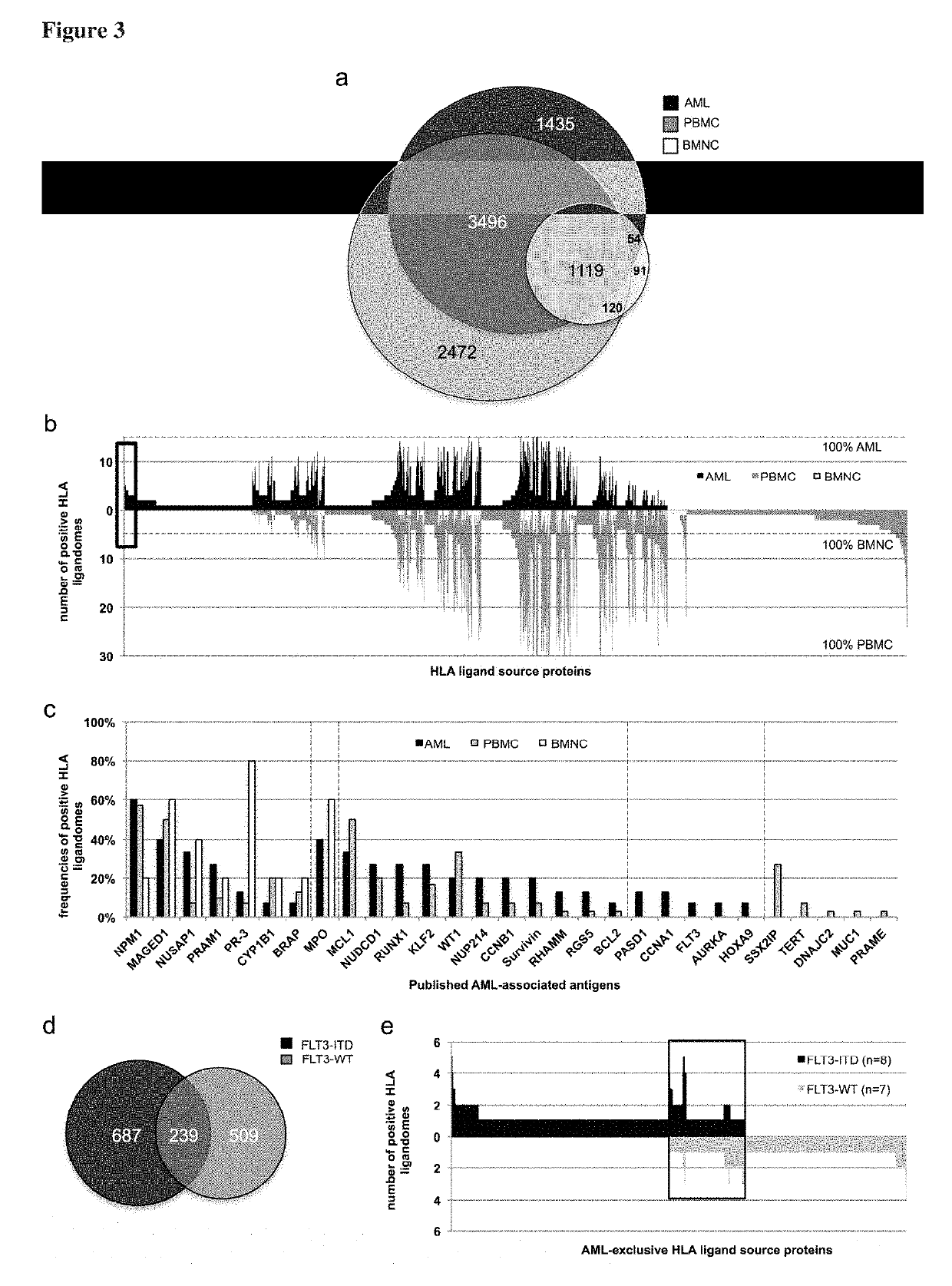 Novel immunotherapy against several tumors of the blood, such as acute myeloid leukemia (AML)