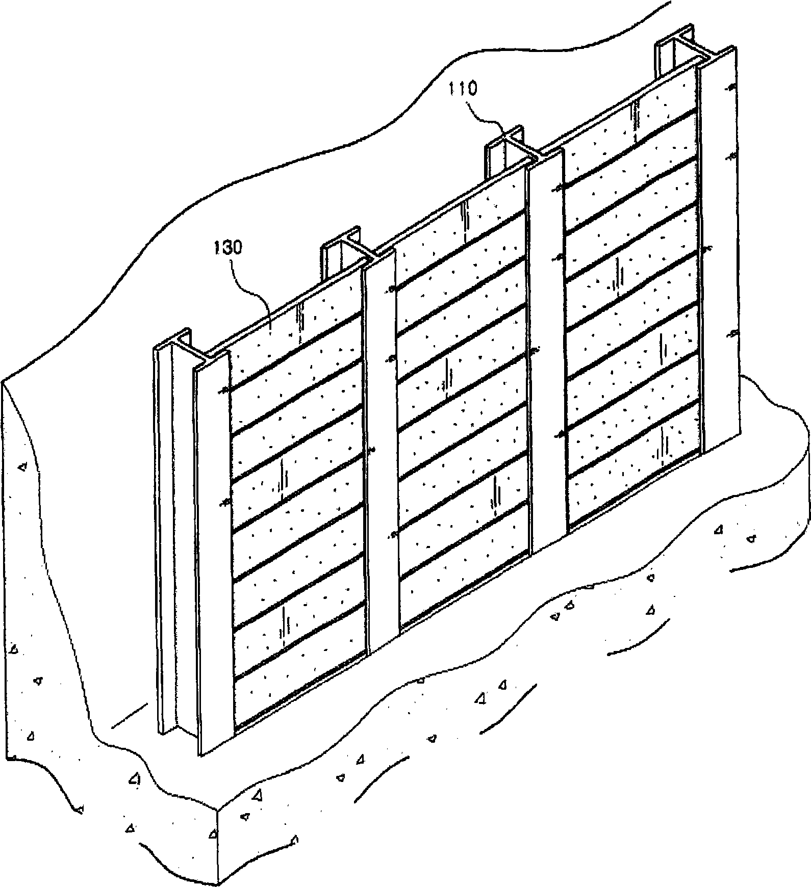 Soil guard structure and establishment method