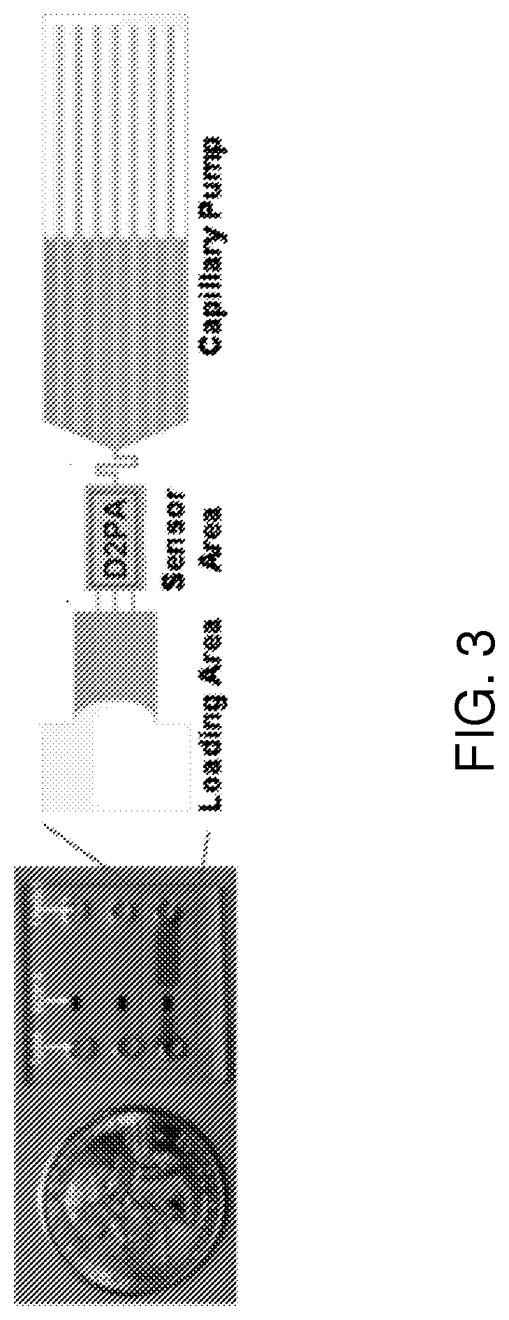 Systems and methods for personalized sample analysis