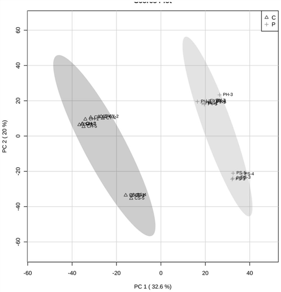 Characteristic markers of different coffee extraction methods and their screening methods and applications