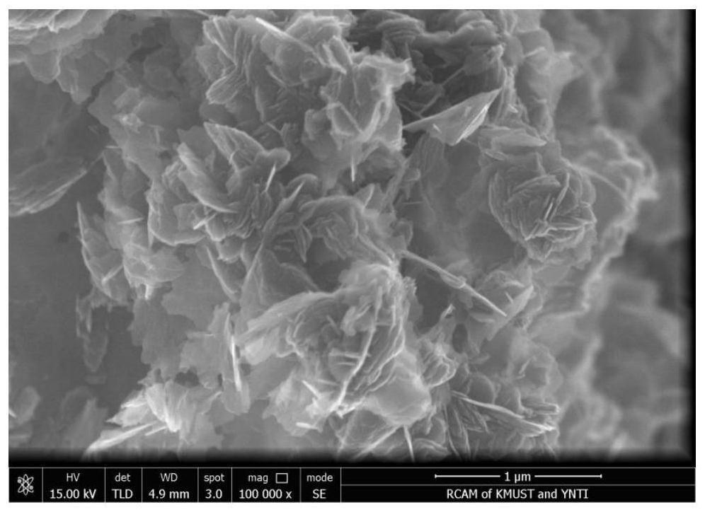 A kind of preparation method of three-dimensional porous structure dye-sensitized solar cell counter electrode