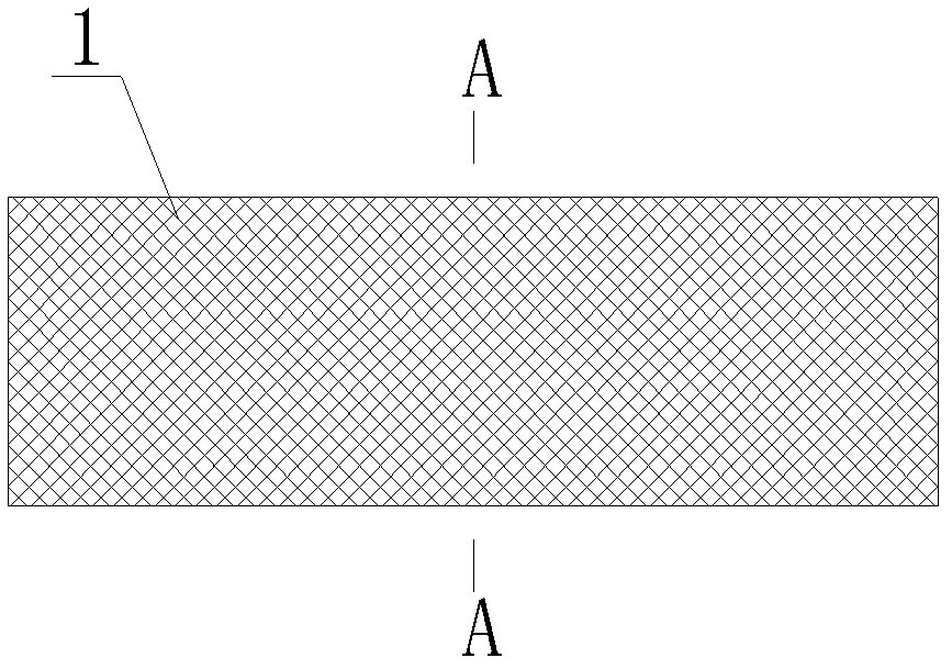 Paranasal sinus holder and special conveying appliance thereof