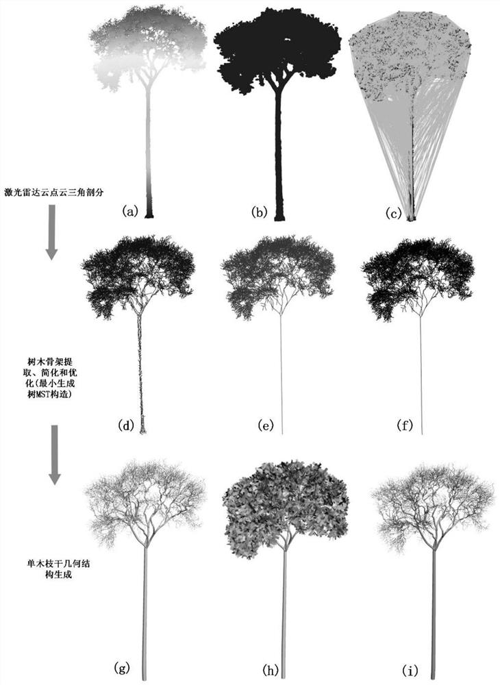 Method for automatically reconstructing tree structure from ground-based laser radar point cloud