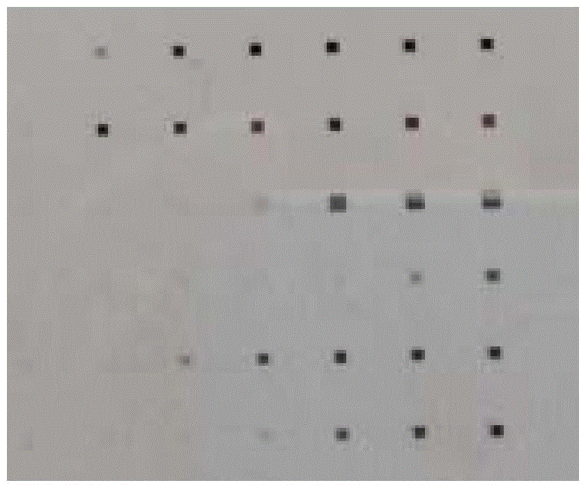 Device and corresponding method for measuring optical rotation of transparent film with periodic chiral structure