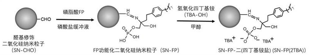 A kind of phosphatidic acid molecularly imprinted fluorescent nanoparticle and its preparation method