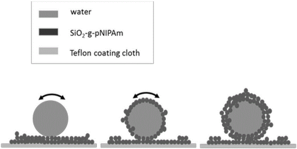 Three-dimensional cell cultivator based on temperature-responsive liquid marbles and construction and application methods of three-dimensional cell cultivator