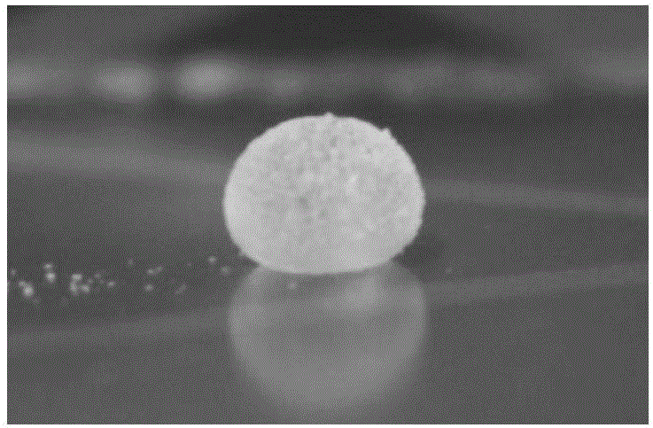 Three-dimensional cell cultivator based on temperature-responsive liquid marbles and construction and application methods of three-dimensional cell cultivator