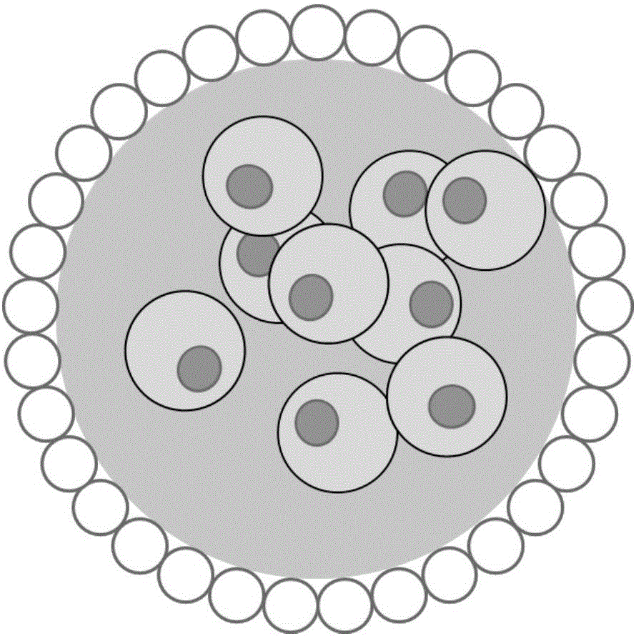 Three-dimensional cell cultivator based on temperature-responsive liquid marbles and construction and application methods of three-dimensional cell cultivator