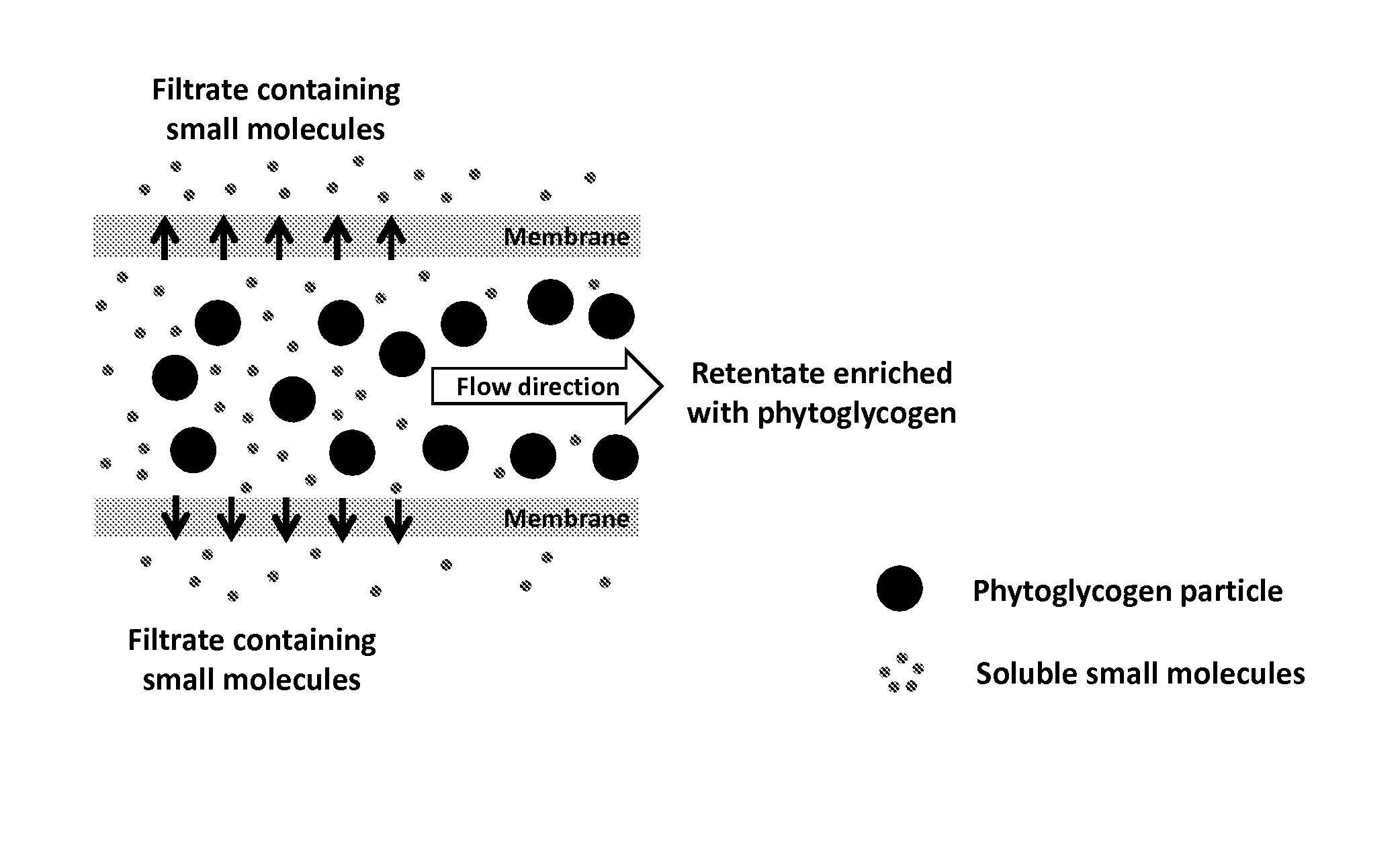 Extraction, purification, and processing of phytoglycogen