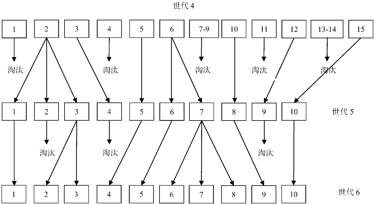 A kind of breeding method of oily type cucumber female line