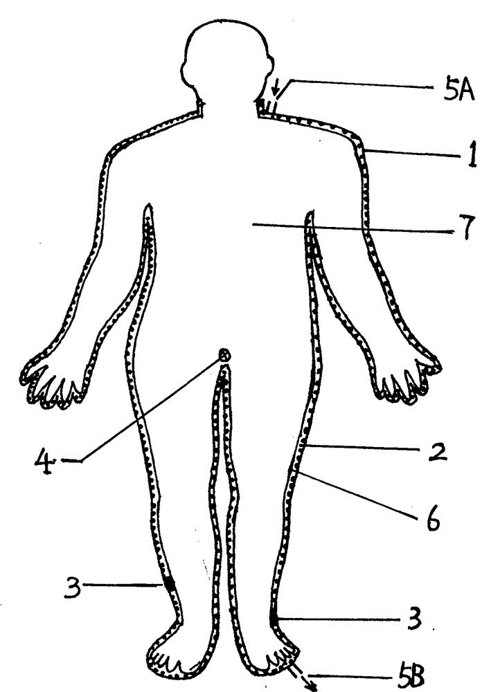 Device for preventing and treating cancer and diseases and manufacturing method of device