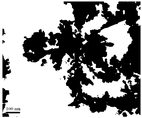 Preparation method of dendritic copper sulphide microcrystal