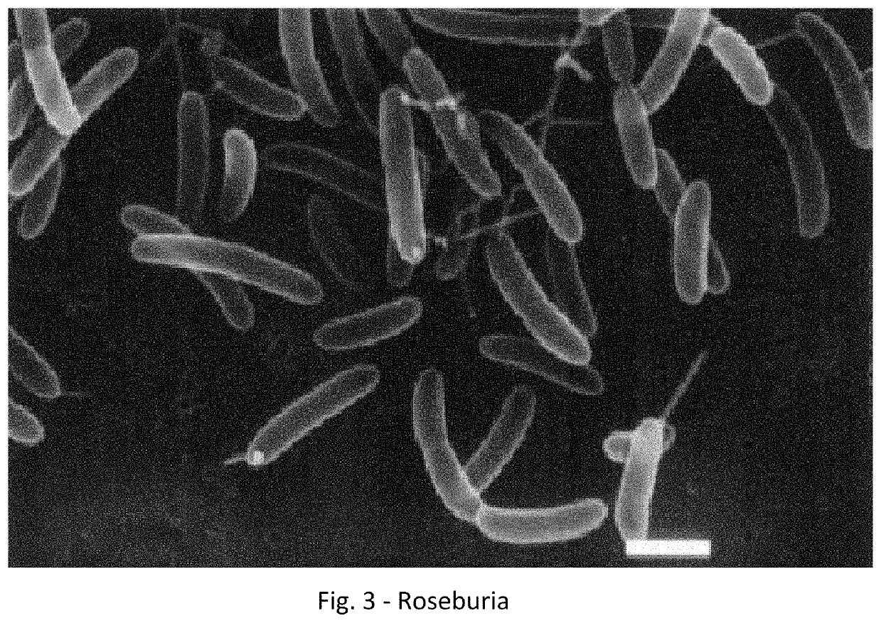 Method for reducing the likelihood of developing cancer in an individual human being