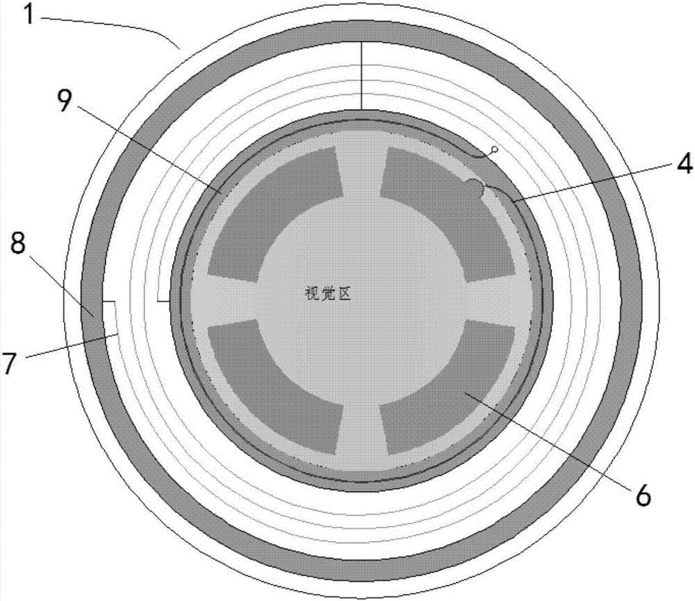 A non-invasive intraocular pressure detection sensor based on microfluidic technology