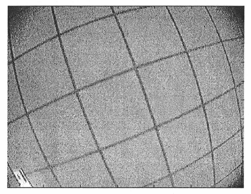 Three-dimensional model projecting method and device for imitating lens distortion