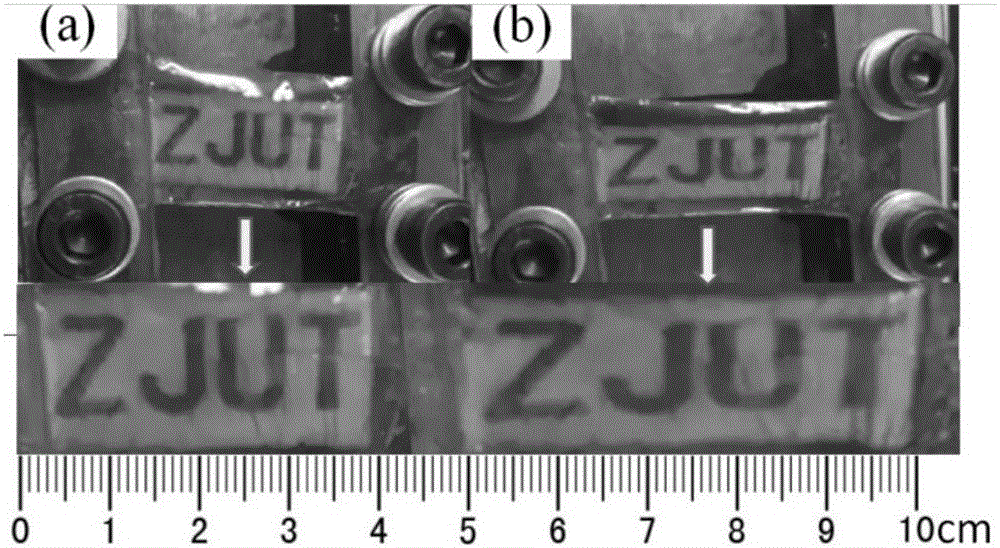 Stretchable photoresponse liquid crystal light scattering display screen and manufacturing method thereof