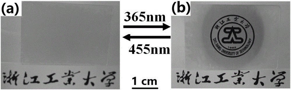 Stretchable photoresponse liquid crystal light scattering display screen and manufacturing method thereof