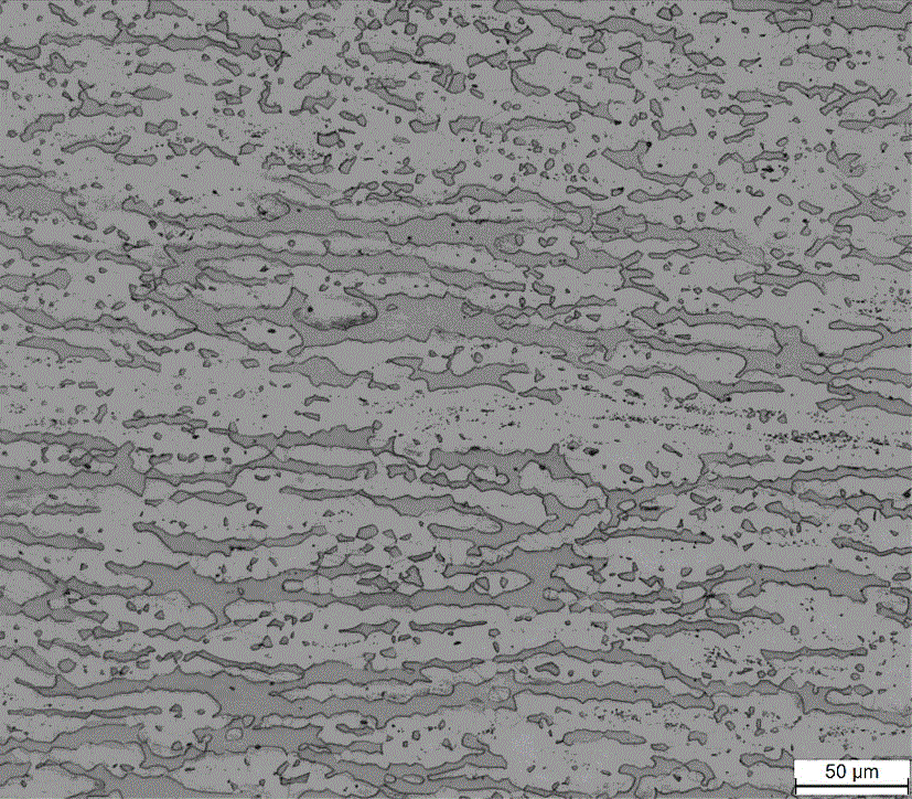 High-nitrogen nickel-saving type duplex stainless steel thin strip and preparation method thereof