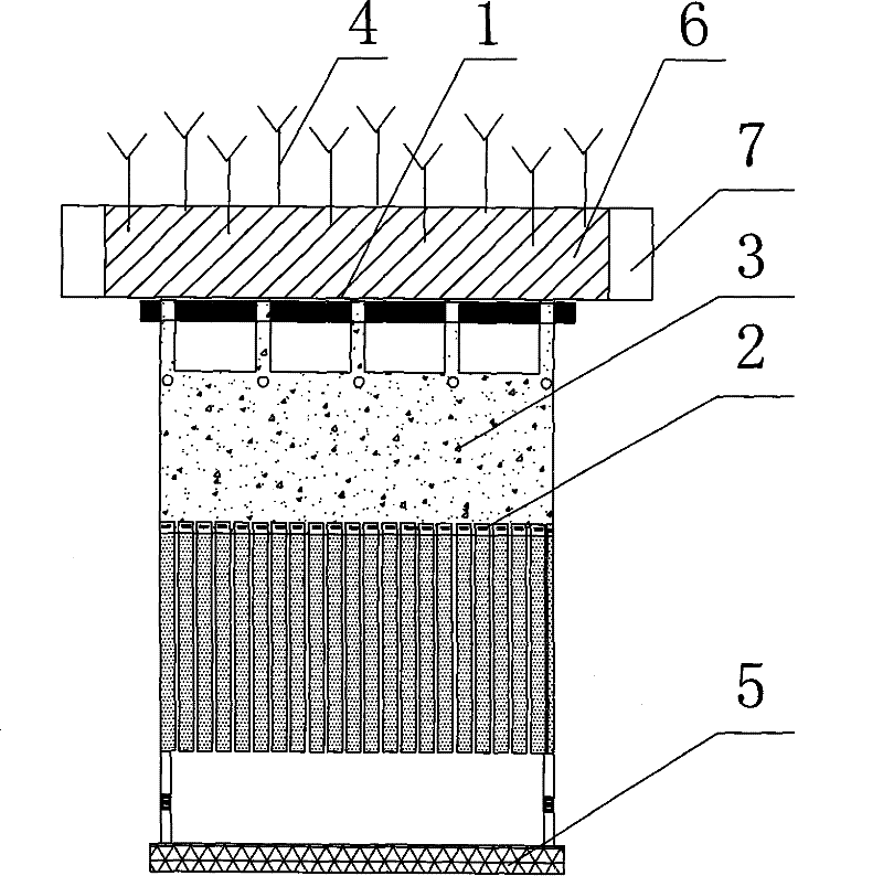 Ecological purification system of landscape water body