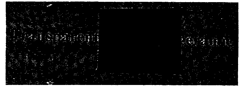 Transparent beta-silicon nitride ceramics and preparation method thereof