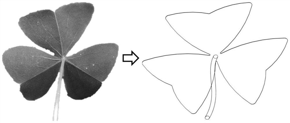 Flexible nerve microelectrode based on oxalis corniculata bionic structure and preparation method