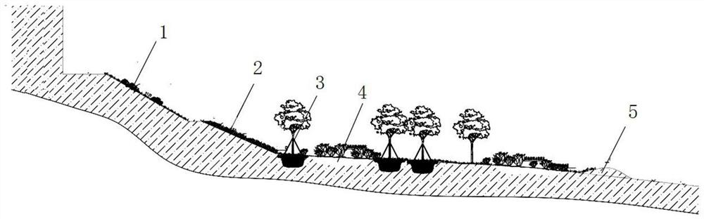 Interface ecological regulation and control system and method for riverside hydro-fluctuation belt of three gorges reservoir area