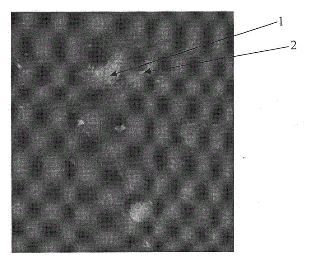 Electroactive composite fiber with core-shell structure and preparation method of tissue engineering scaffold