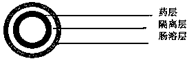 Preparation method of omeprazole enteric capsule