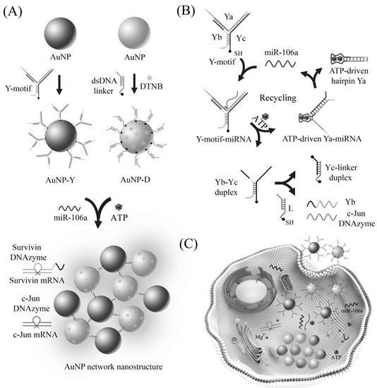 An integrated nano-reagent for cancer diagnosis and treatment and its preparation method and application