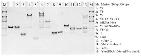 An integrated nano-reagent for cancer diagnosis and treatment and its preparation method and application