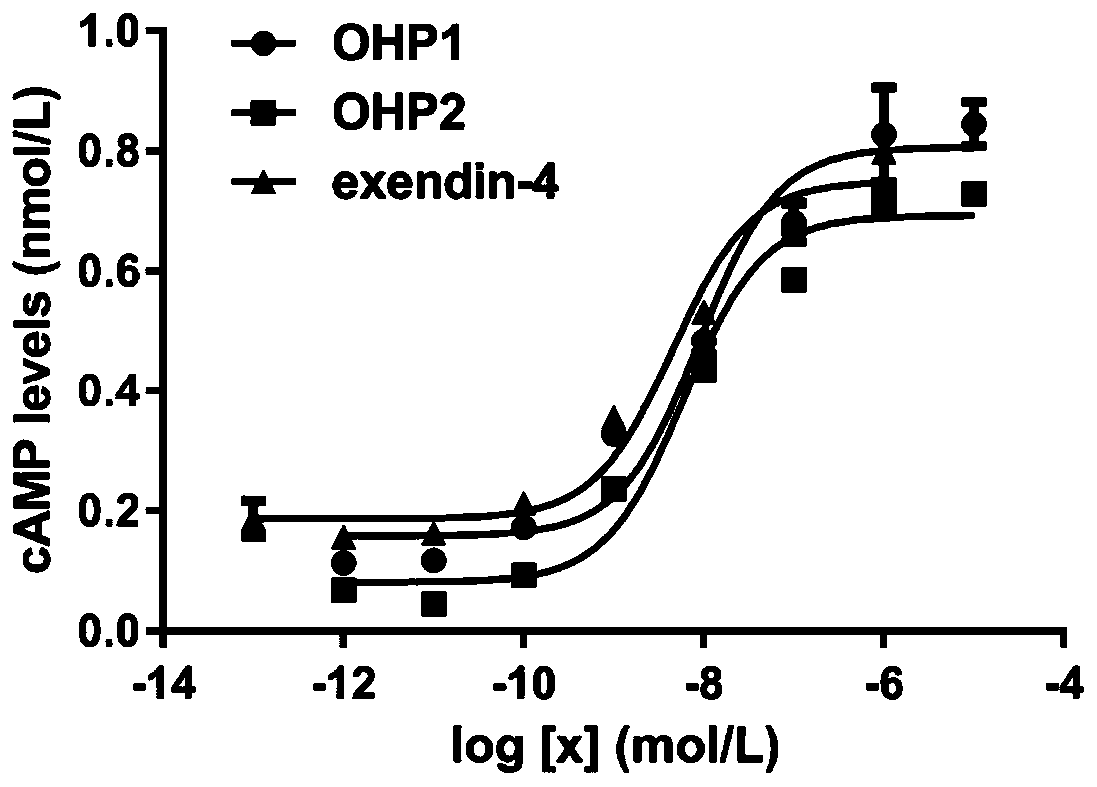 Oral hypoglycemic peptide as well as fatty acid derivative and application thereof