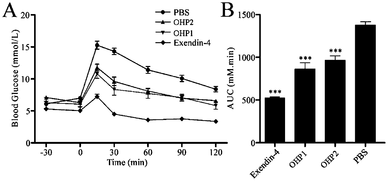 Oral hypoglycemic peptide as well as fatty acid derivative and application thereof