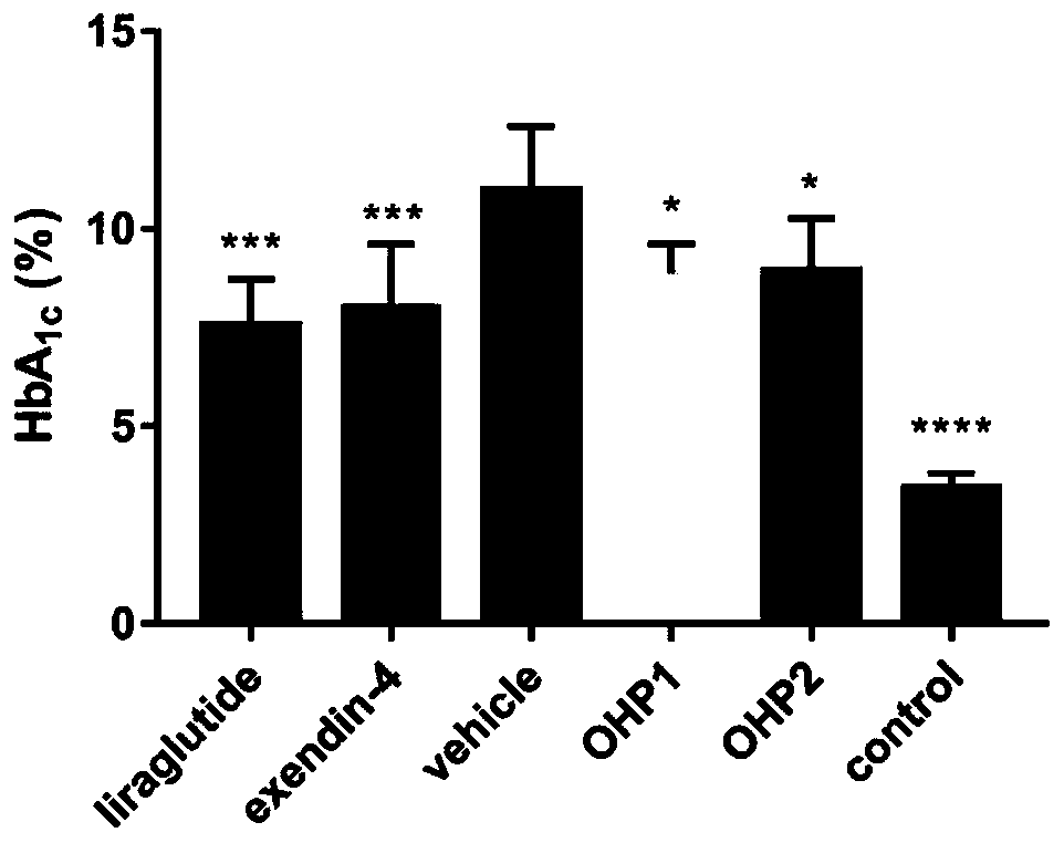 Oral hypoglycemic peptide as well as fatty acid derivative and application thereof