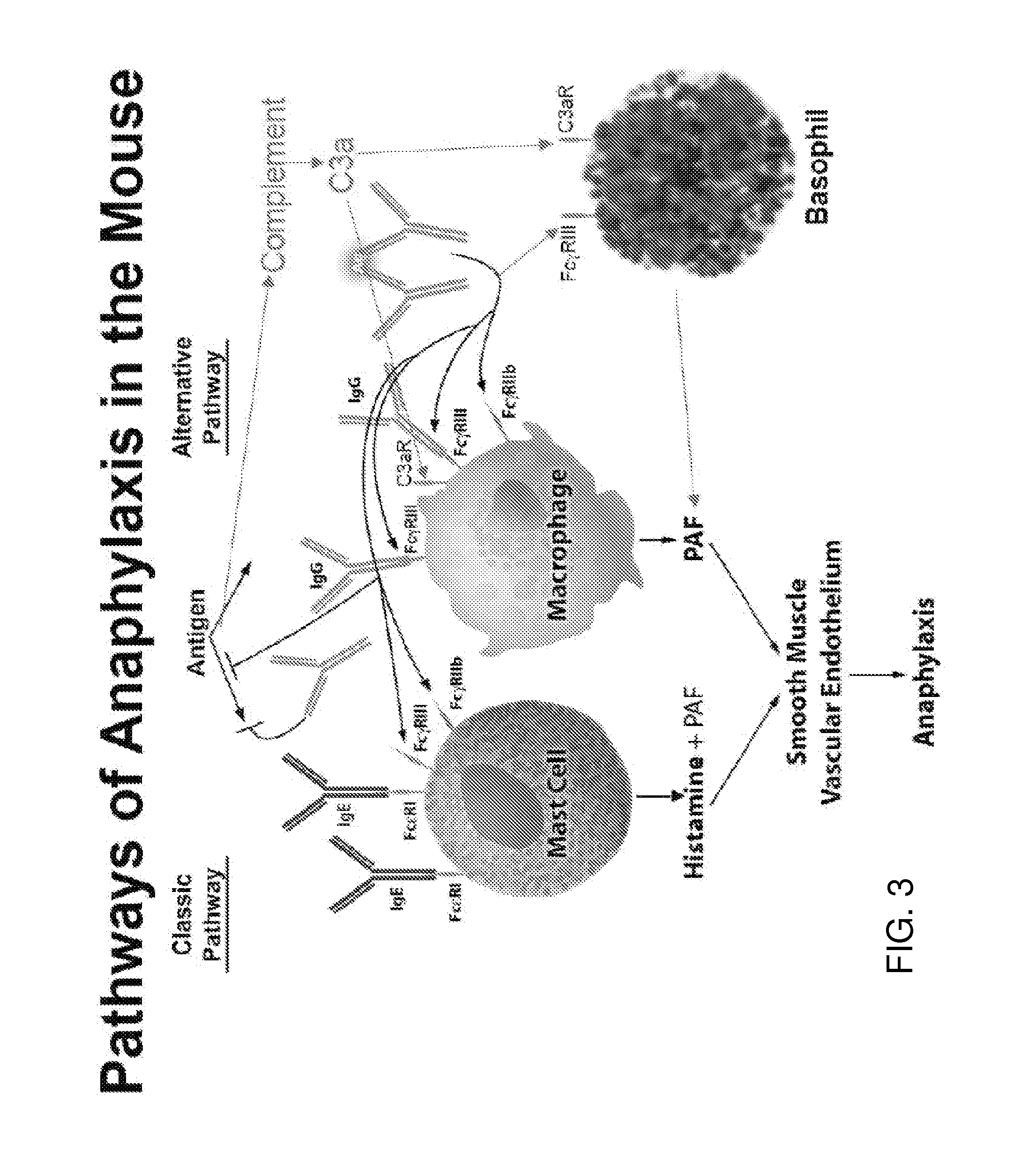 Methods for suppressing allergic reactions