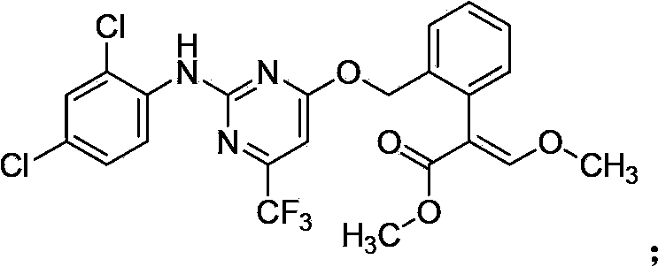 Composition containing pyrethroid pesticide and applications thereof