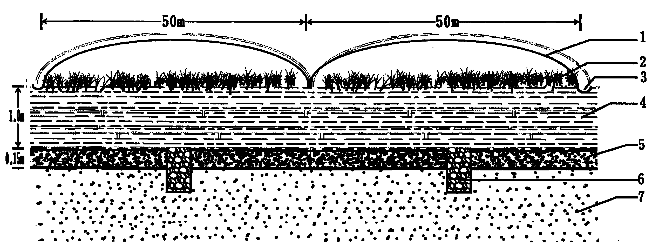 Earth surface planting desert reforming technology