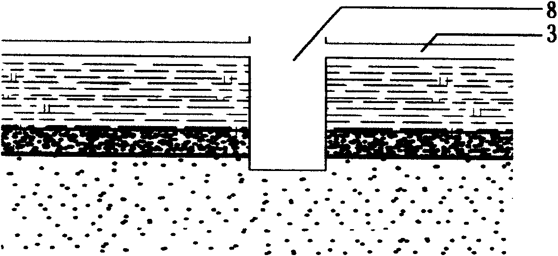 Earth surface planting desert reforming technology