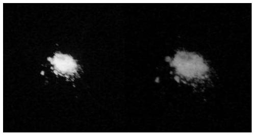 Organic small-molecule efficient room-temperature phosphorescent material on basis of aryl imide, and preparation and application of organic small-molecule efficient room-temperature phosphorescent material