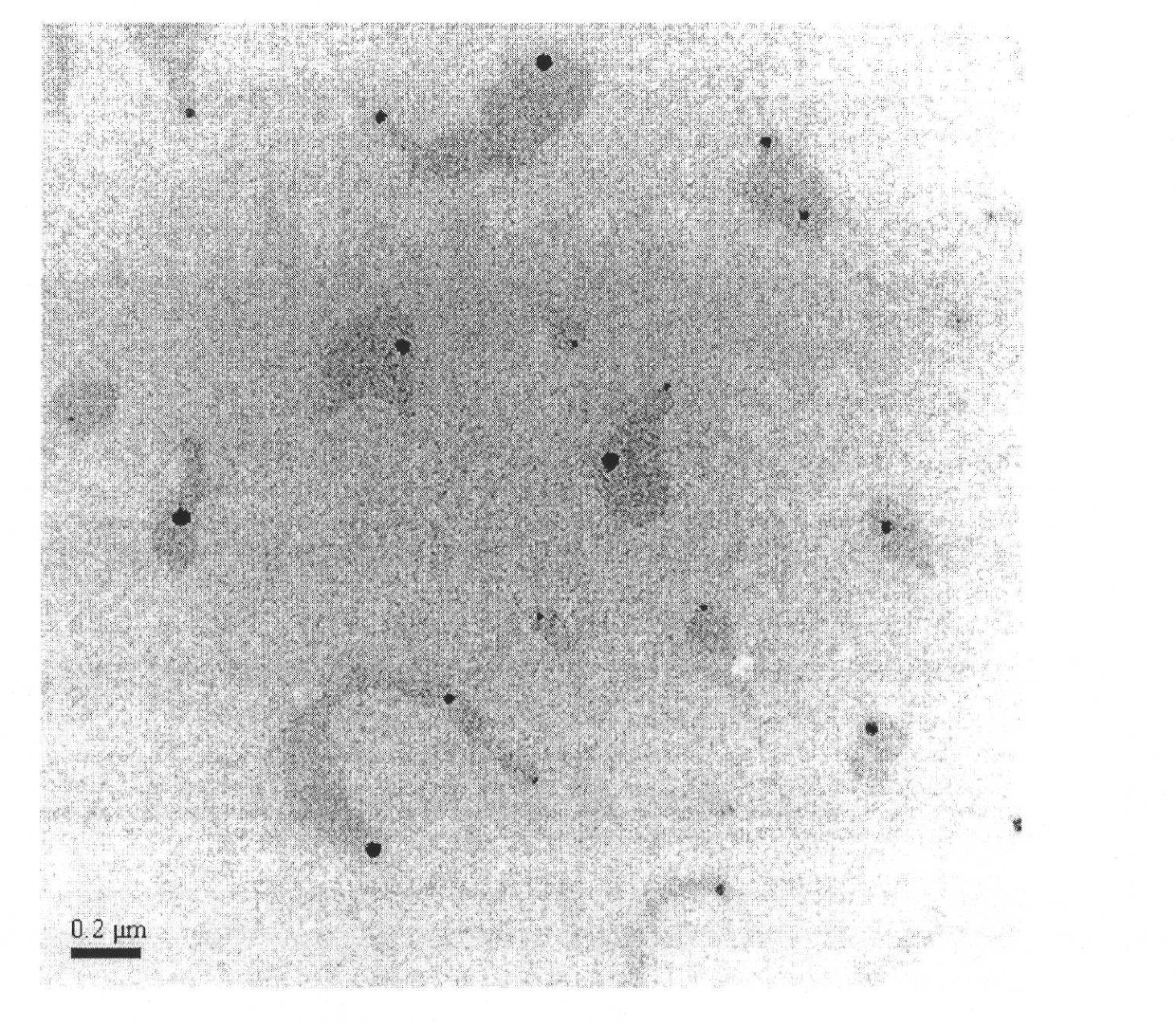 Oil-in-water type spearmint oil nano emulsion and method for preparing same