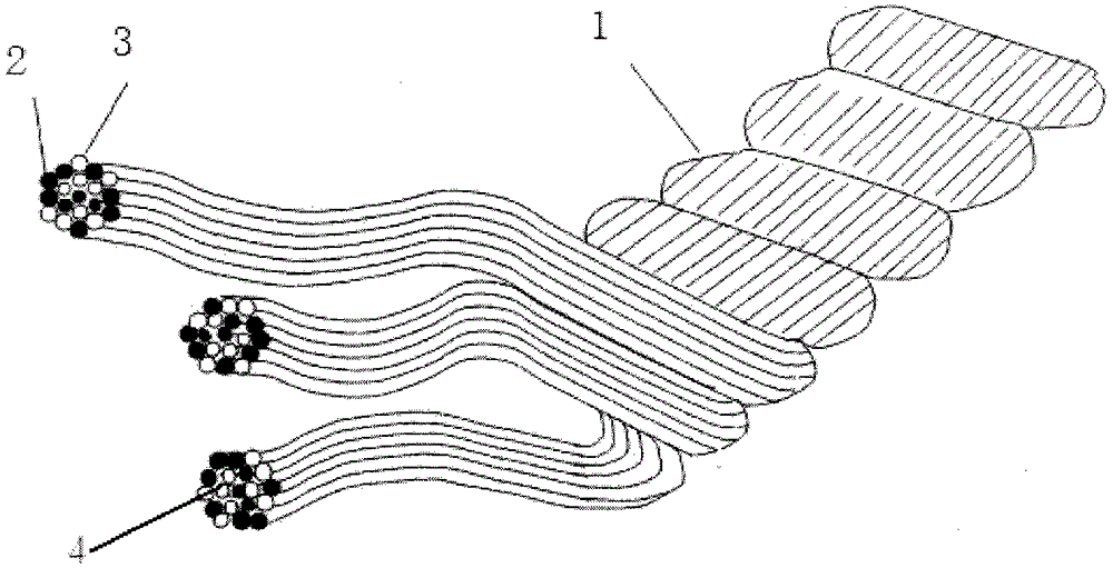 Nori cultivation net