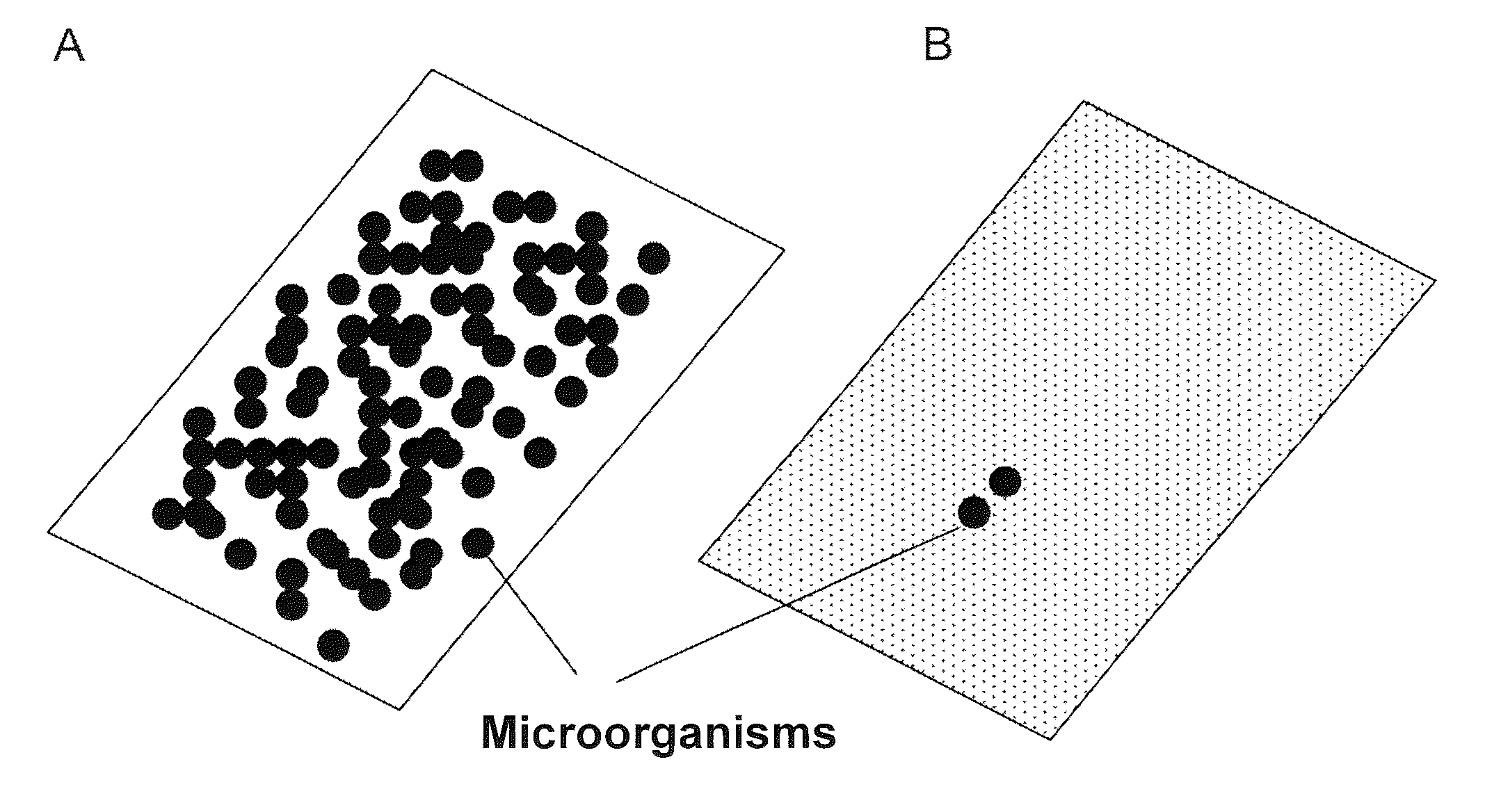 Method for the immobilization of cationic active ingredients on surfaces