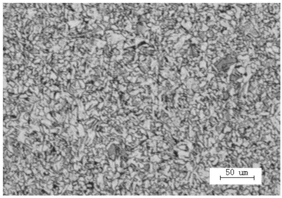 High-plasticity steel hot-rolled coil for welded gas cylinder and production technology of high-plasticity steel hot-rolled coil