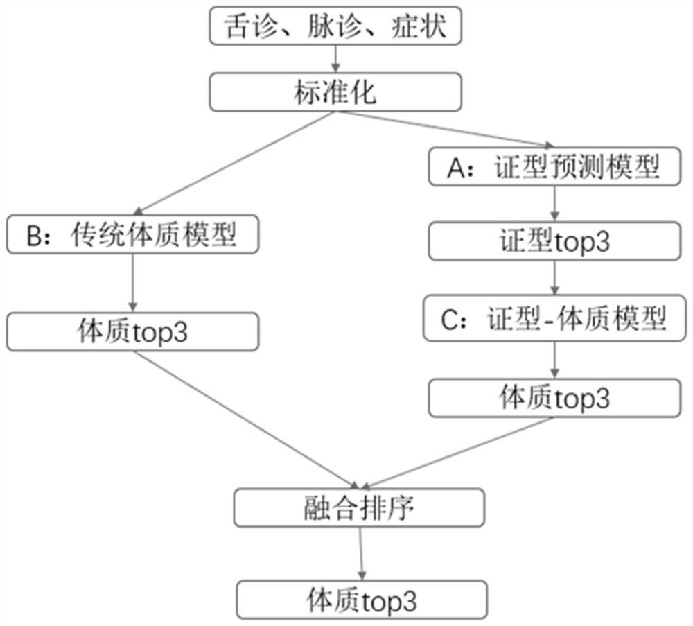 Data processing system and method for traditional Chinese medicine constitution prediction, storage medium and terminal