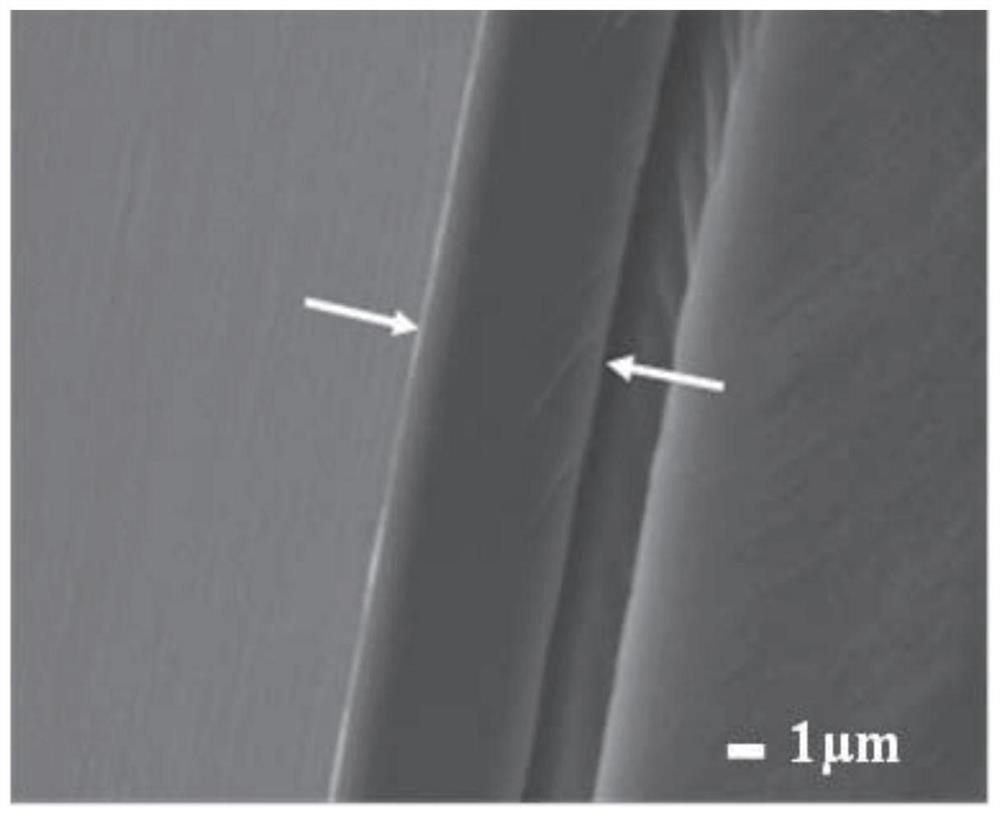 Application of non-release type anti-microbial adhesion coating in antibacterial medical instrument