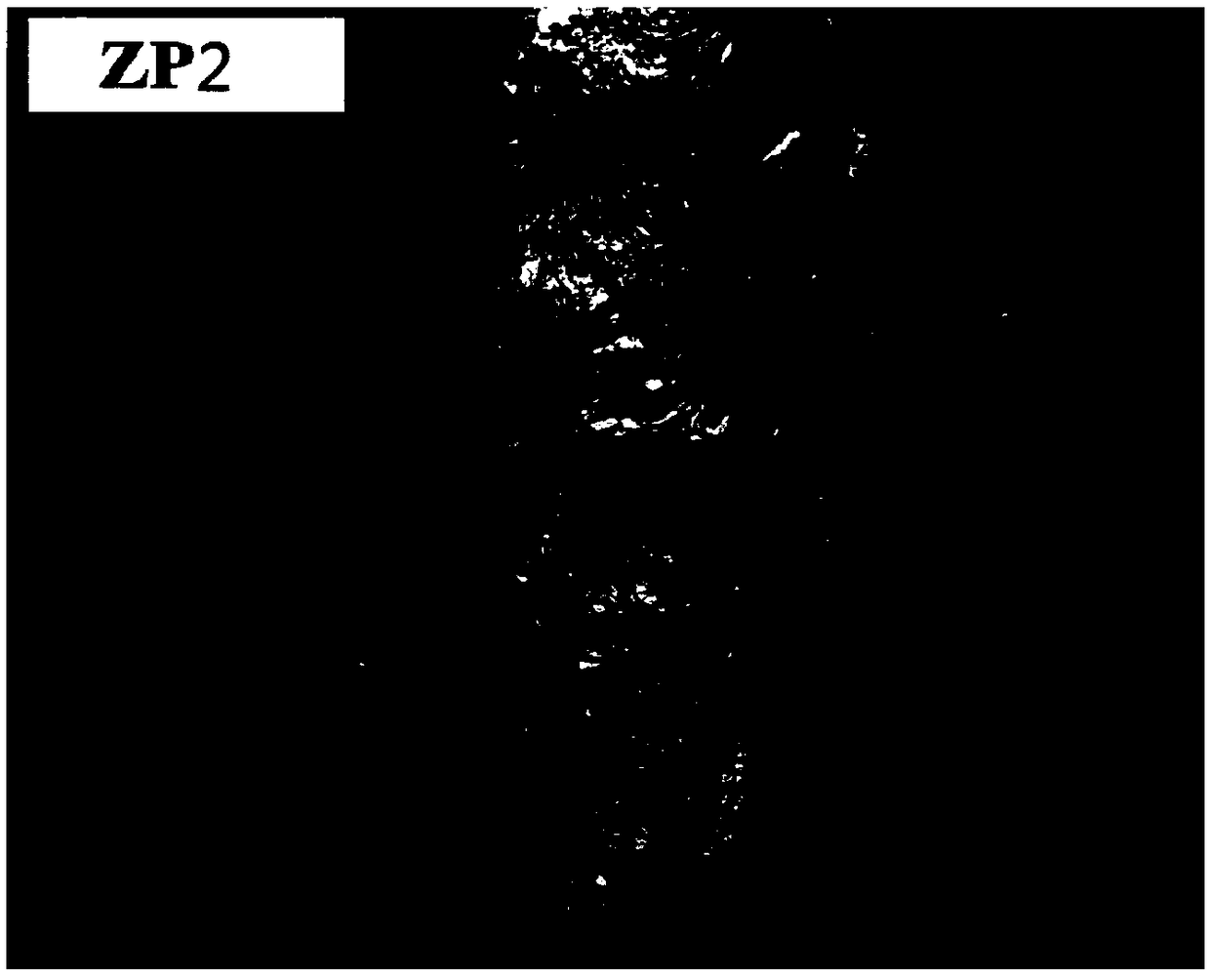 Low hydrogen type iron powder welding rod and preparation method thereof