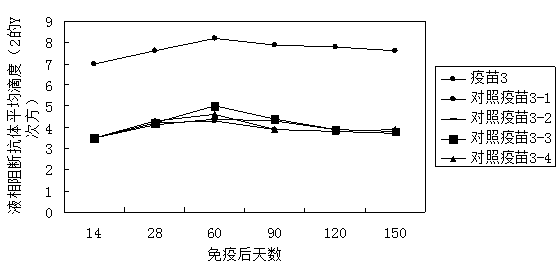 Immunity enhancing agent, inactivated vaccine, and preparation method thereof