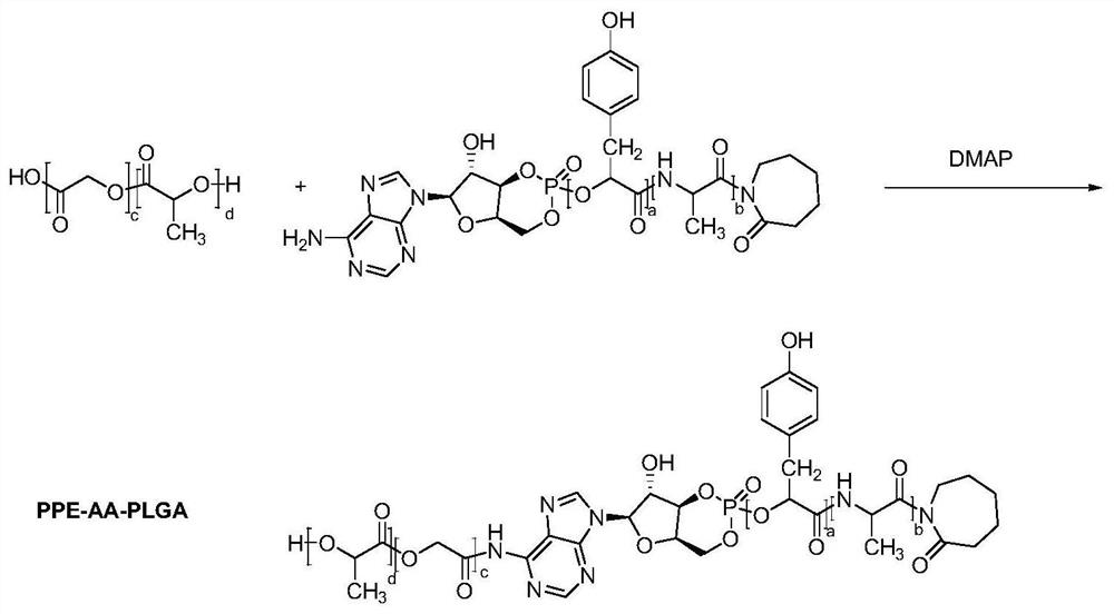 Anti-tumor targeted drug sustained-release carrier, preparation and preparation method thereof