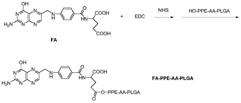 Anti-tumor targeted drug sustained-release carrier, preparation and preparation method thereof