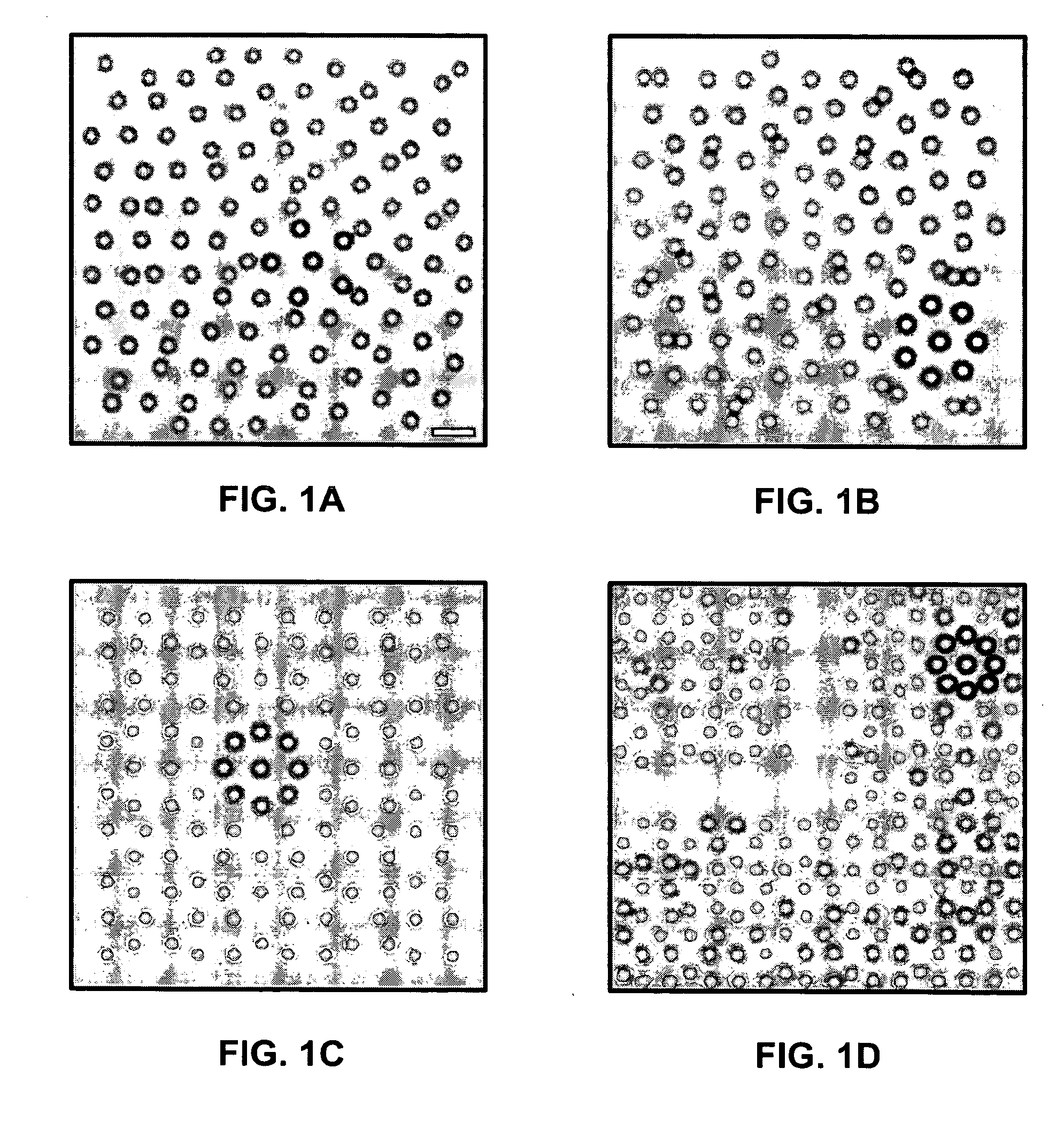 Assembly of quasicrystalline photonic heterostructures